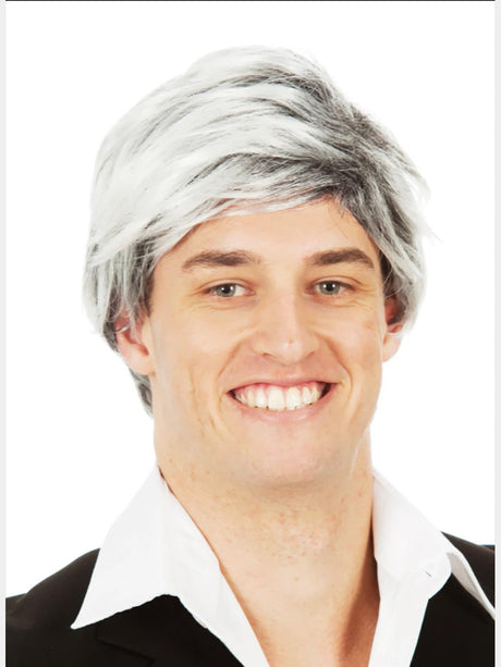 Men's Silver Fox Wig costume wig, photo 1 of 4