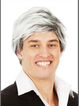 Men's Silver Fox Wig costume wig, photo 1 of 4