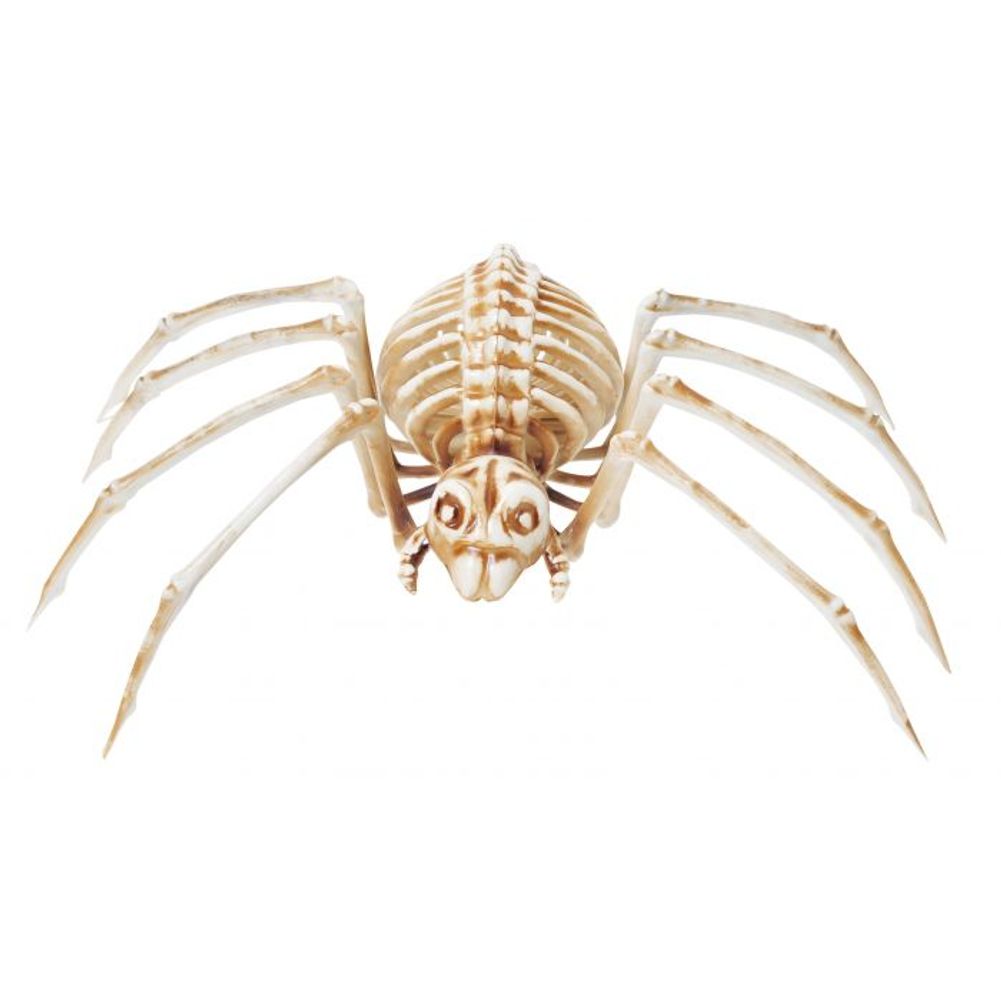 14" Skele-Spider