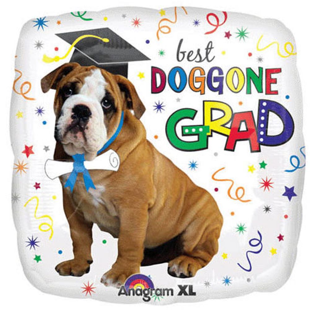 18" Best Doggone Grad