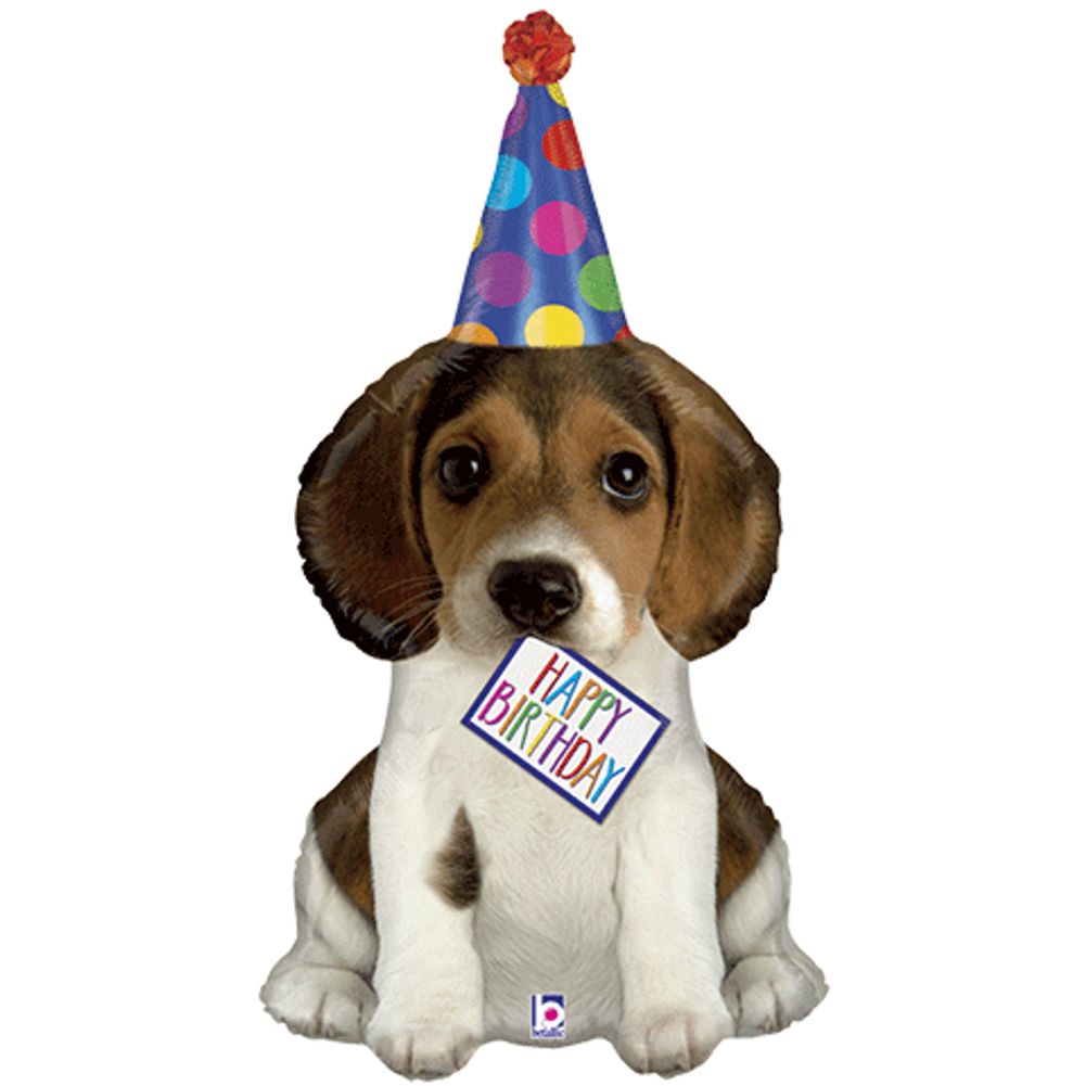 41" BIRTHDAY PUPPY
