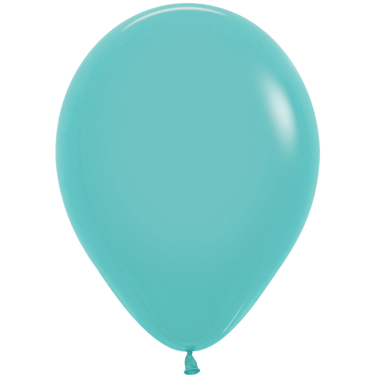 11" Fashion Robins Egg Blue