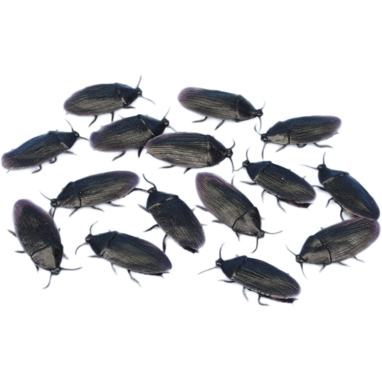 2'' Cockroaches Prank Decoration Pack (144ct)