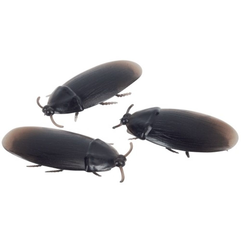 2'' Cockroaches Prank Decoration Pack (144ct)