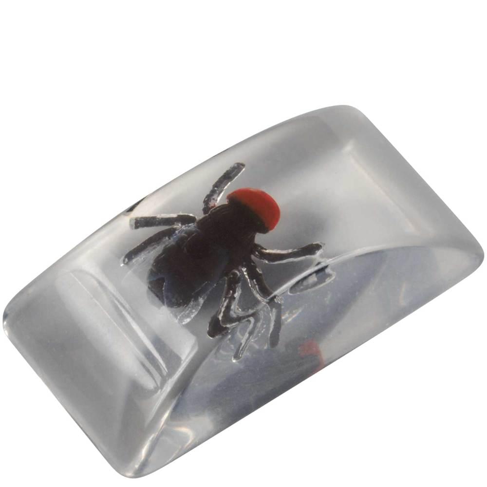 Bar Bugs (1ct)