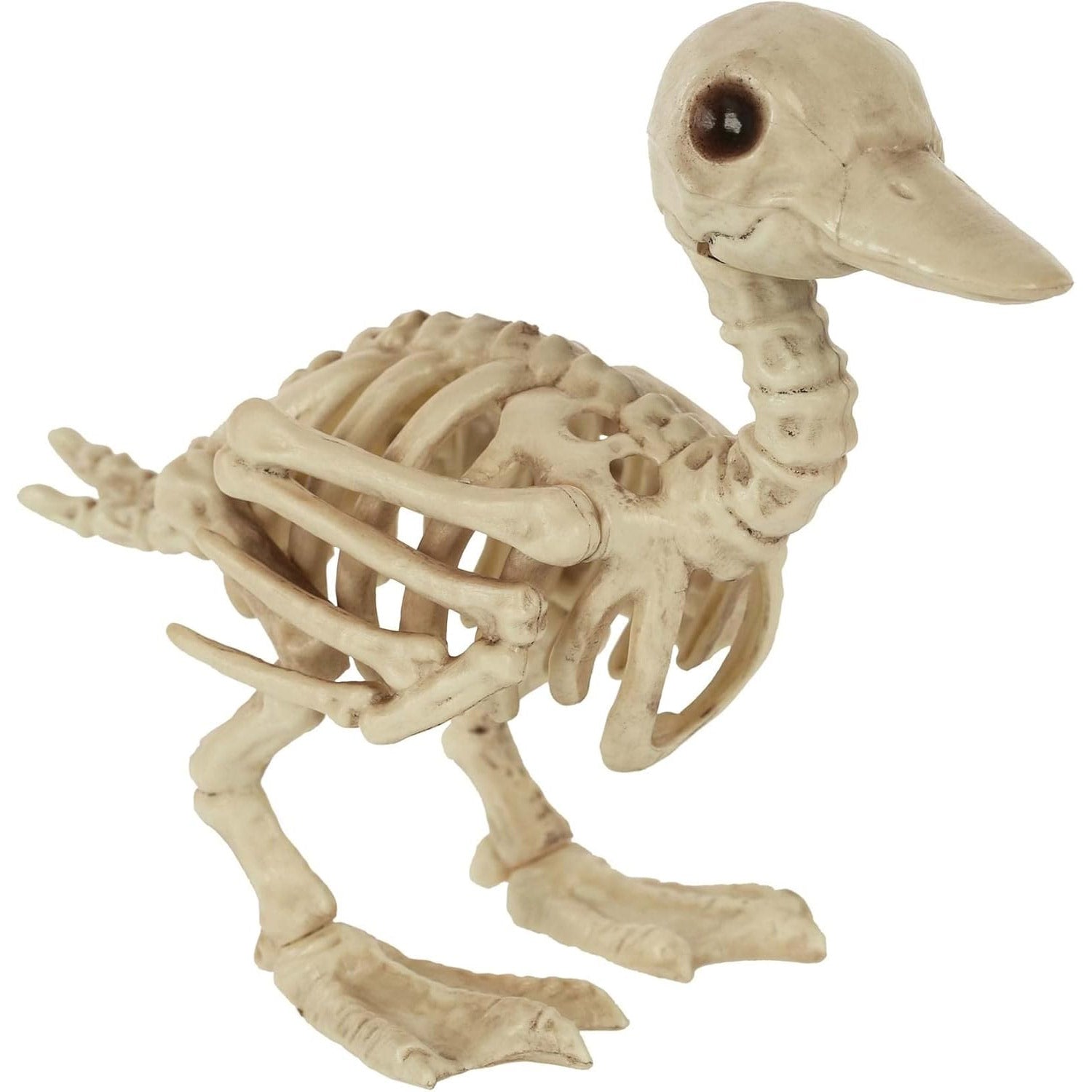 Skeleton Duck Small