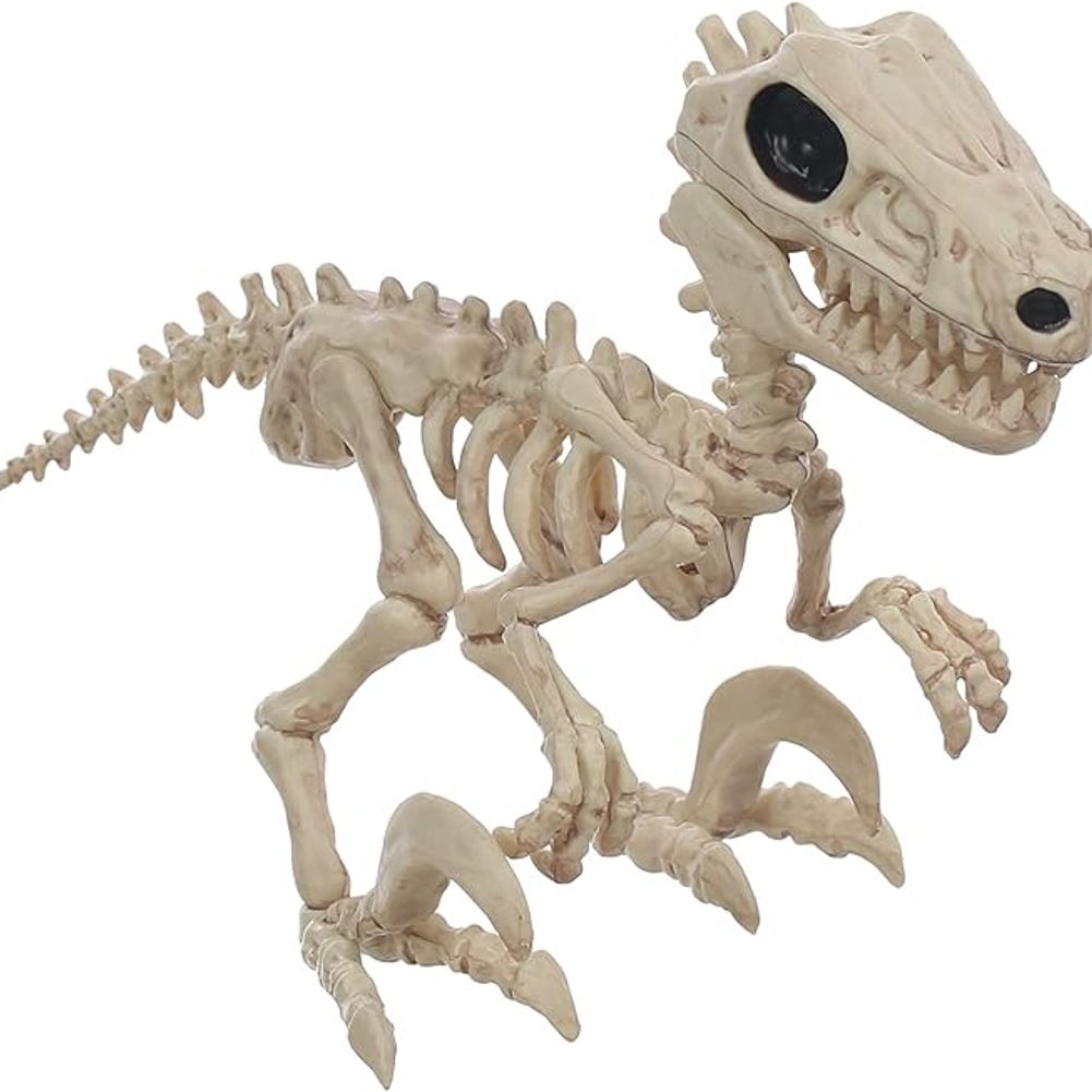 Small Raptor Dino Skeleton 5.5"