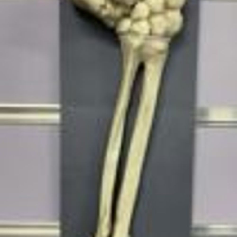 17 " Skeleton Thumbs Up Lawn Stake