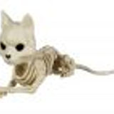 Cute Laying Cat Skeleton, 5.25"