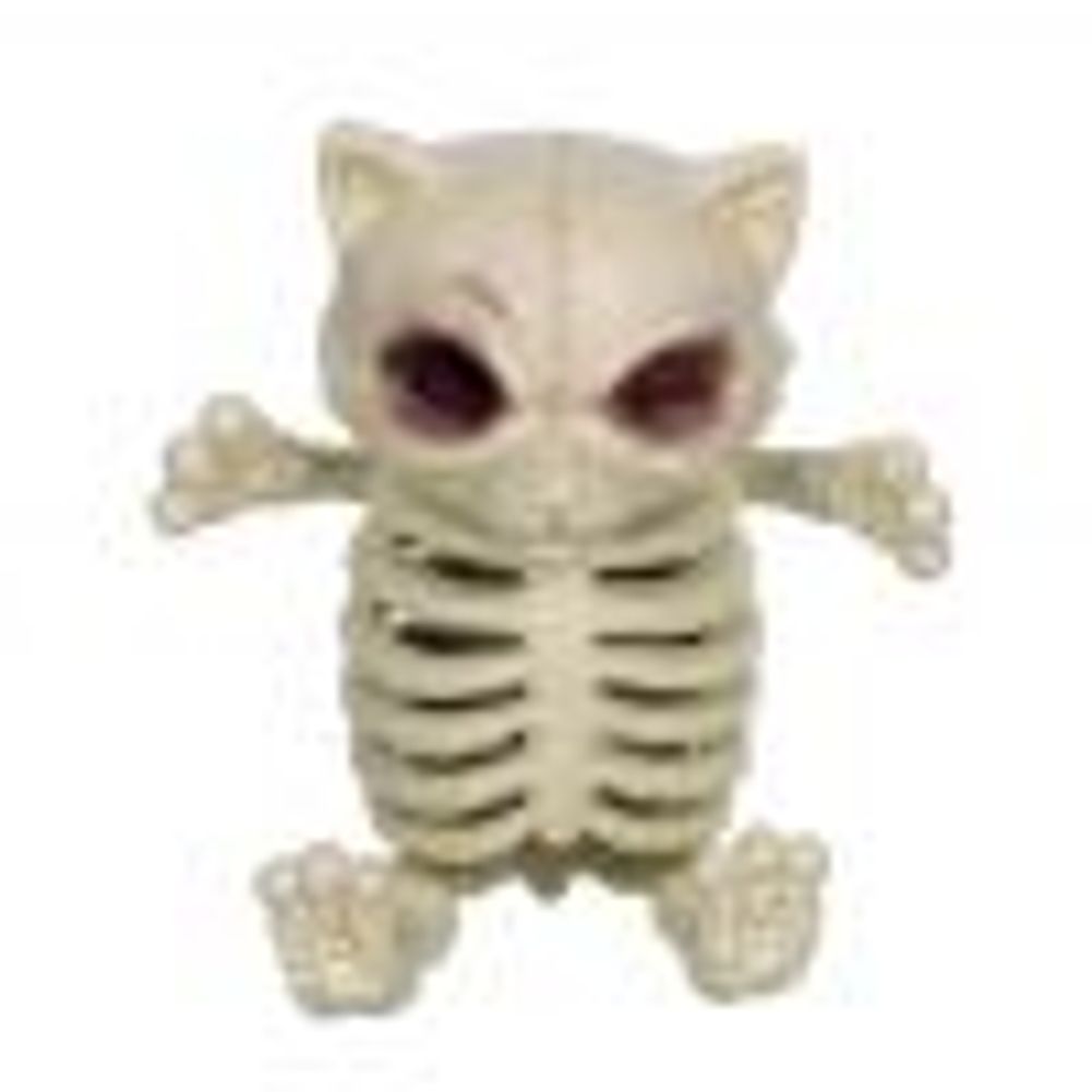 Teddy Bone Body Cat Skeleton