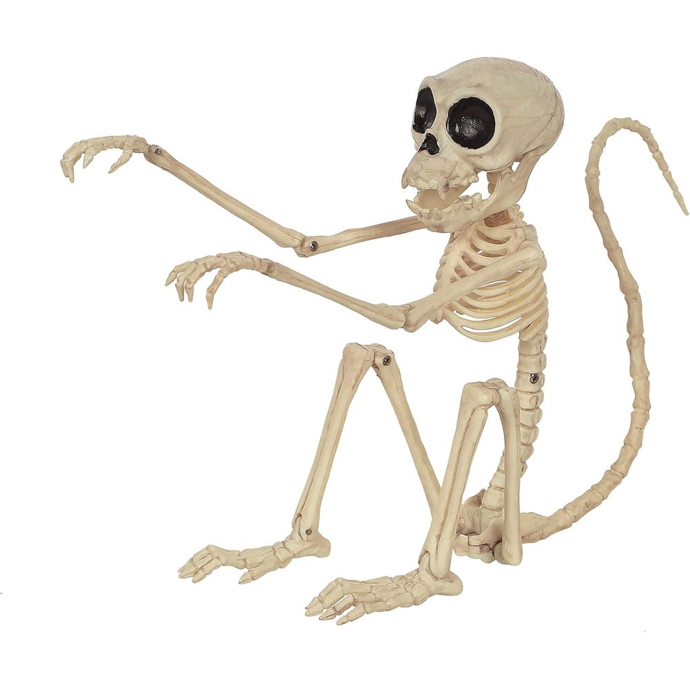Monkey Skeleton 7.25