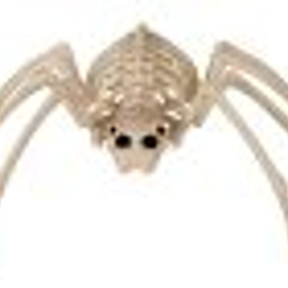 Seasons 20" Spider Skeleton