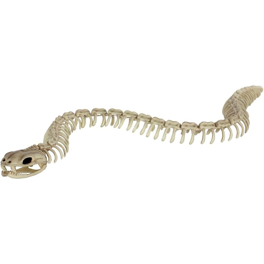 Skeleton Snake 36