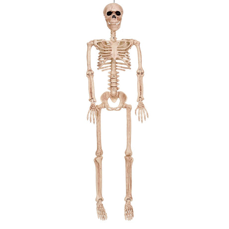 Skeleton Poseable w/Wash 36