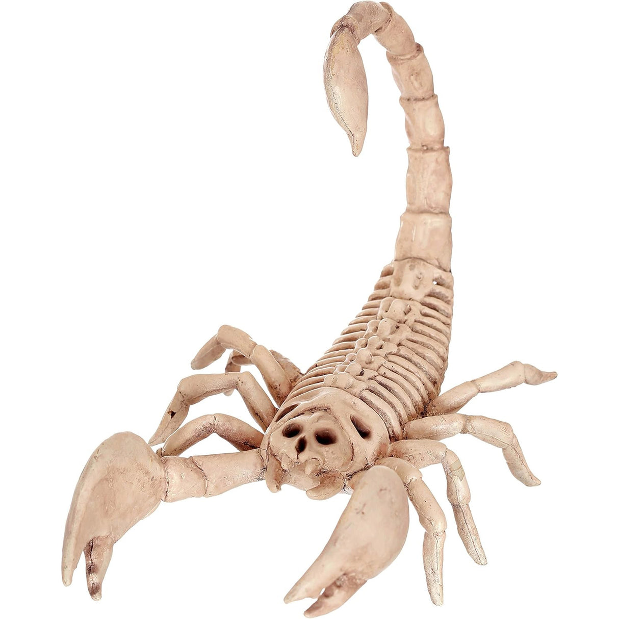 Crazy Bonez Skeleton Scorpion