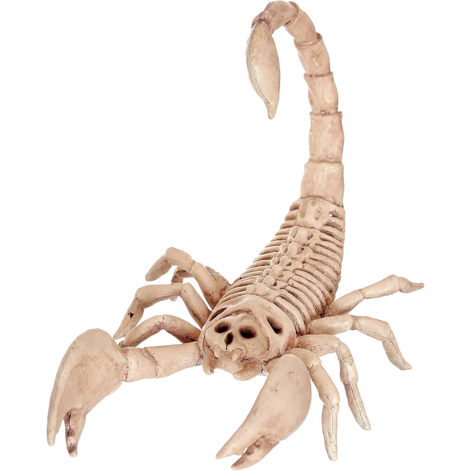 Crazy Bonez Skeleton Scorpion