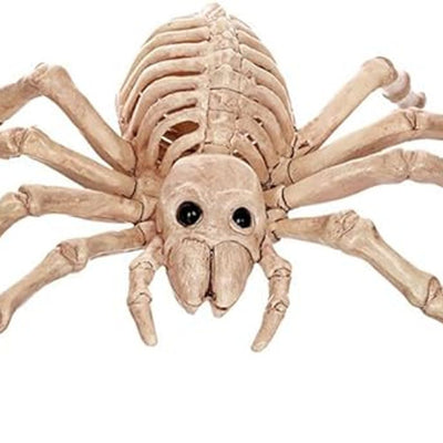 Skeleton Small Spider