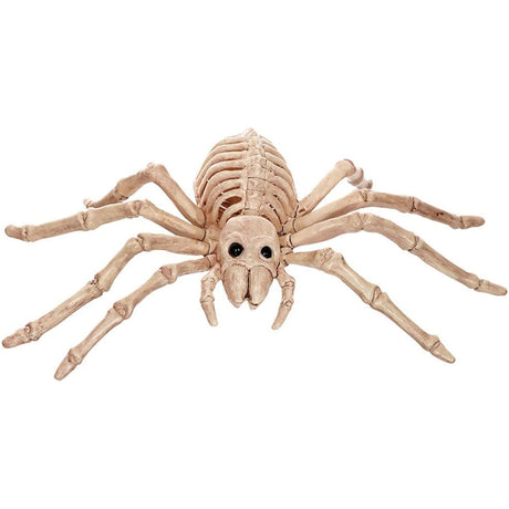 Skeleton Small Spider