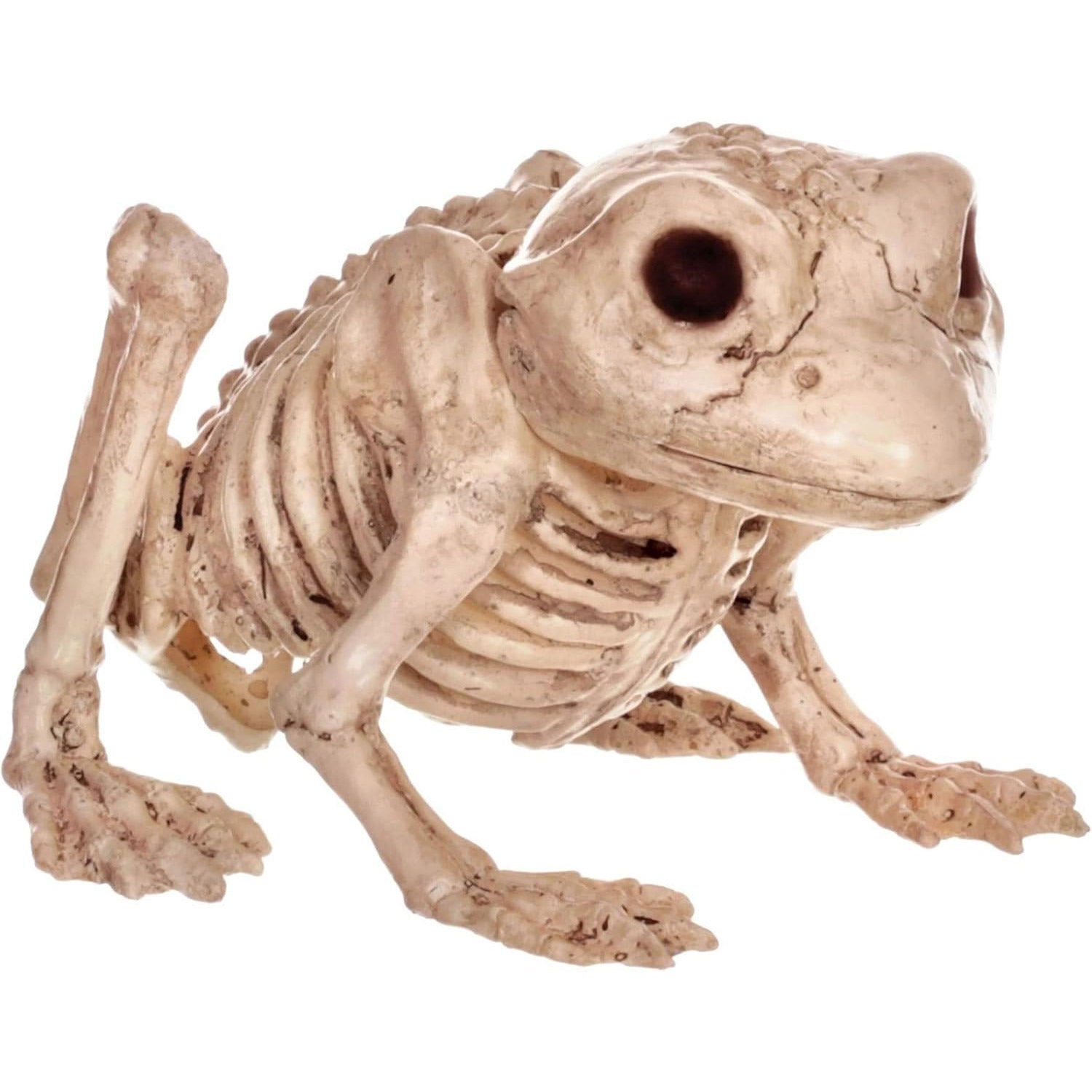 Crazy Bonez Skeleton Frog