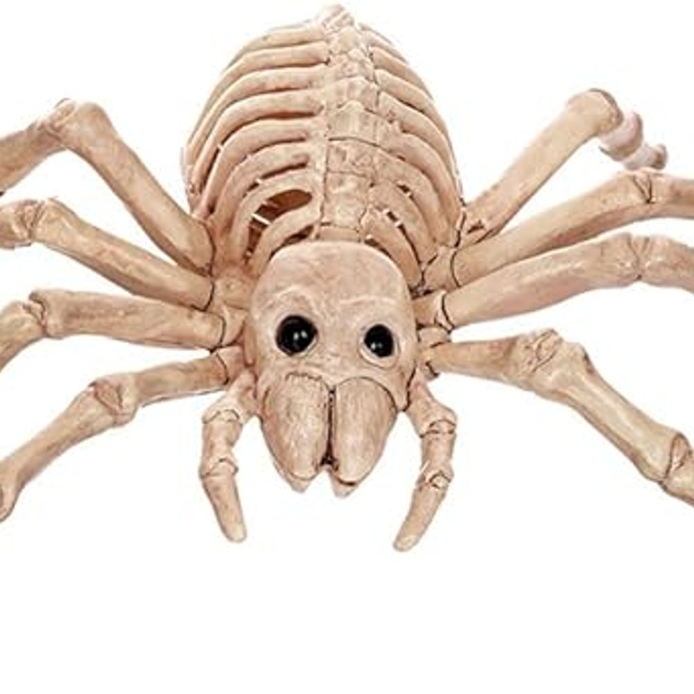 Skeleton Mini Spider
