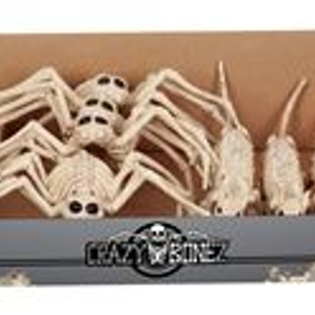 Mini Skeleton Asst Rat/Spdr