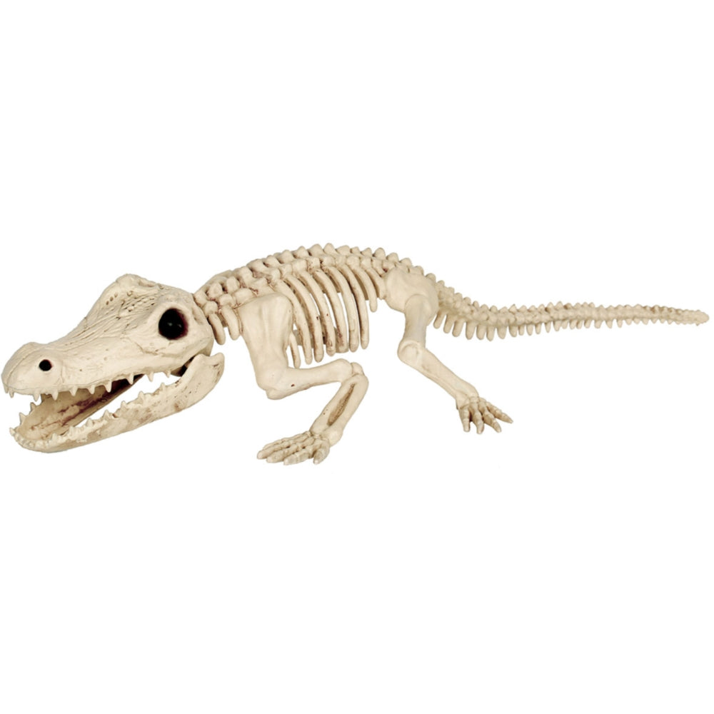 Seasons 31" Crocodile Skeleton