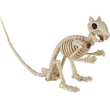 Skeleton Squirrel