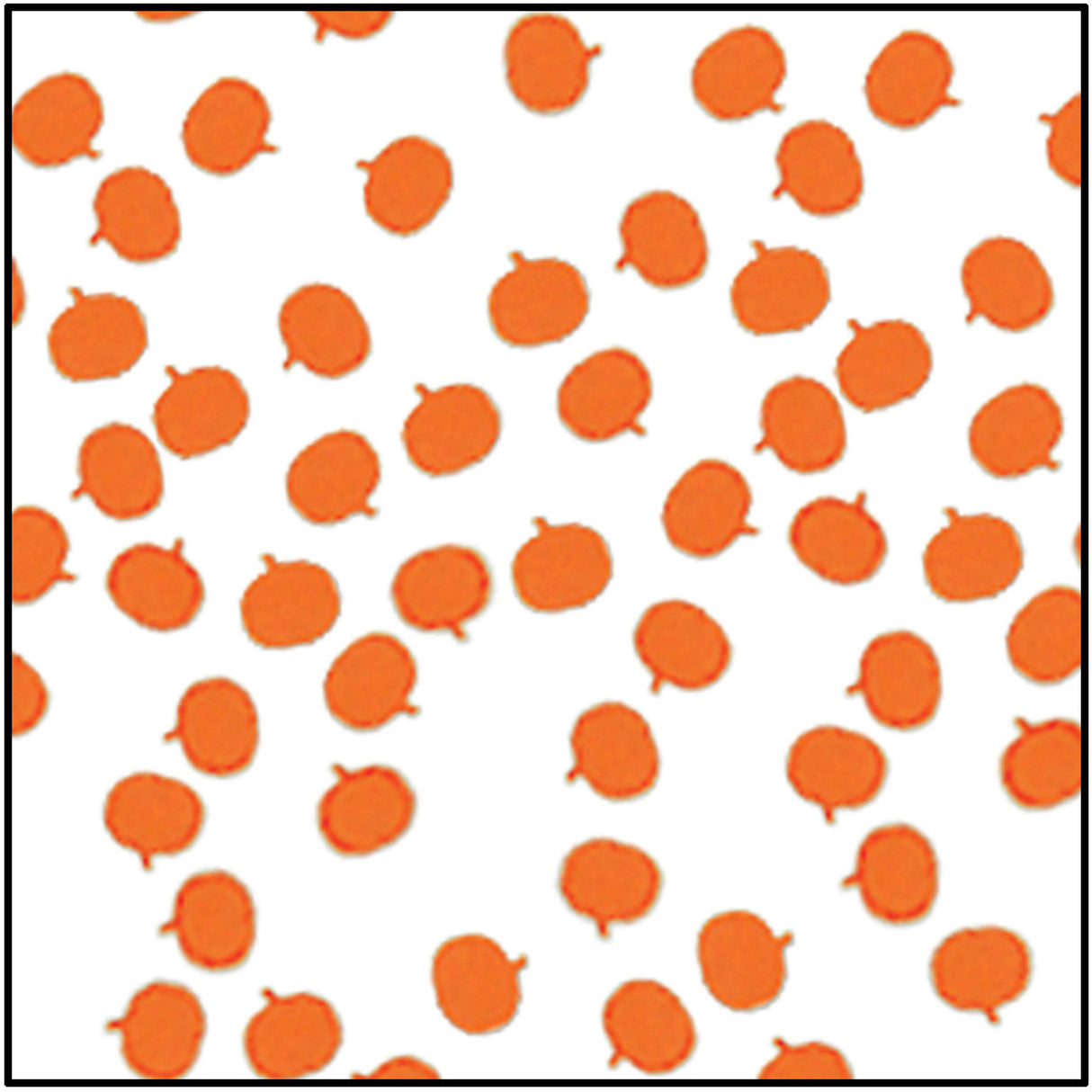 Fanci-Fetti Pumpkins