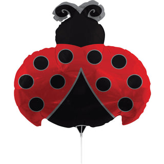 Ladybug 30