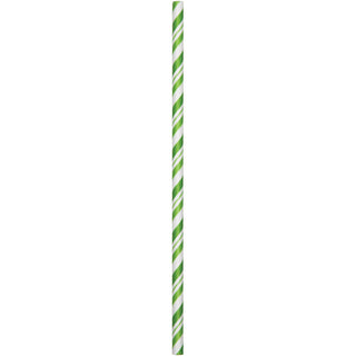 Fresh Lime Striped Paper Straws (24ct)
