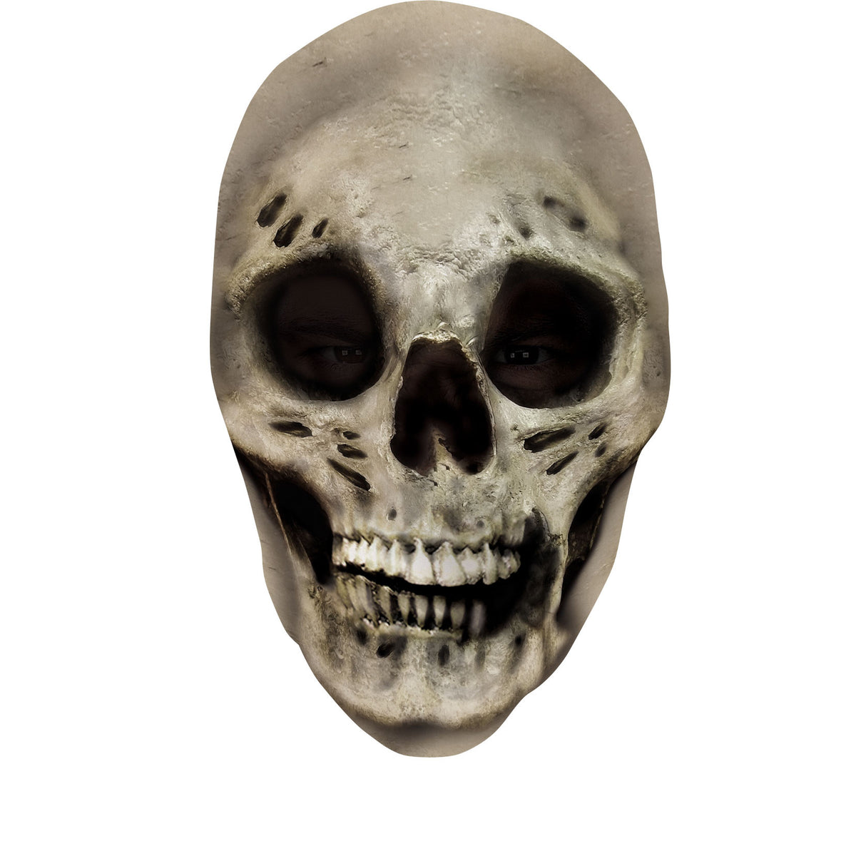Skull Nylon Full Mask Tween