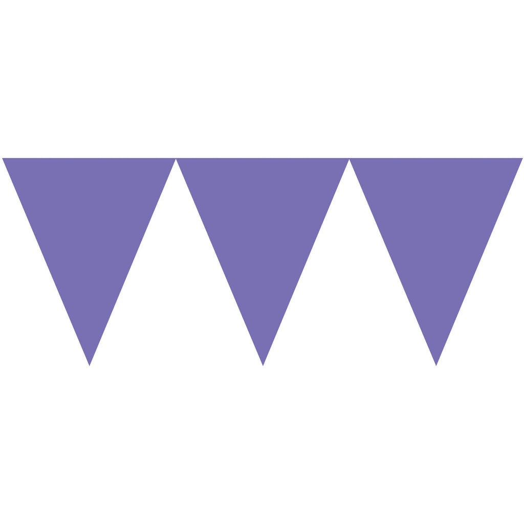 New Purple 9' Pennant Banner
