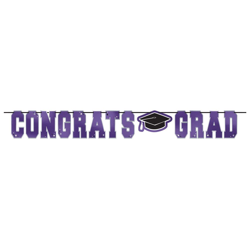 School Colors Large Foil Letter Banner Purple (1ct)