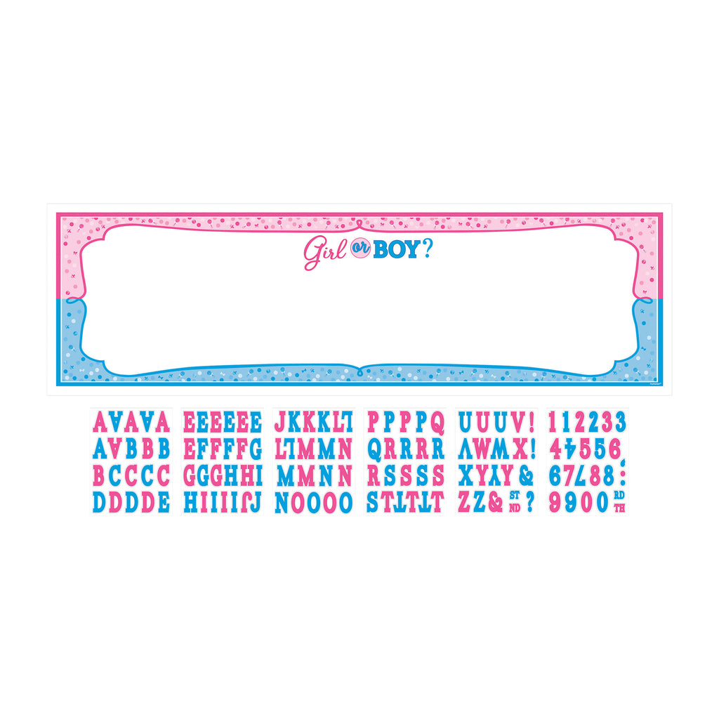 Girl or Boy Party Banner