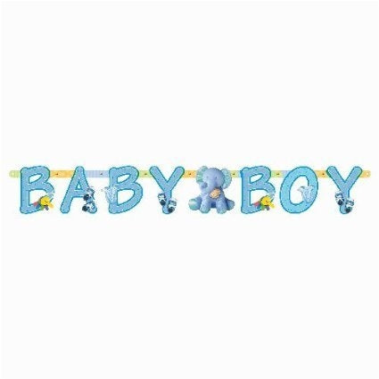 Teeny Tiny Boy Banner