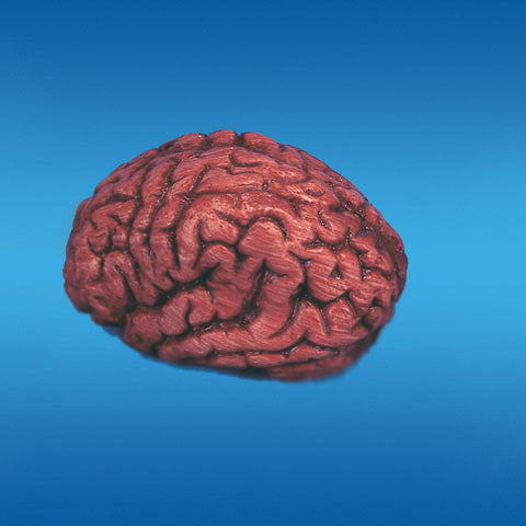 Bloody Brain