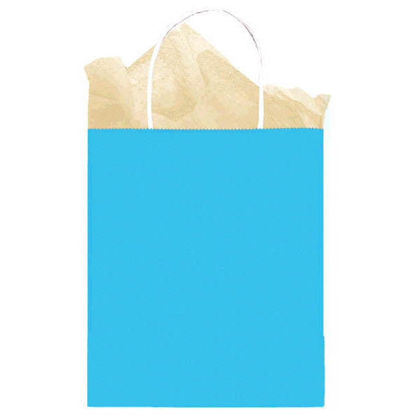 Turquoise Kraft Medium Gift Bag