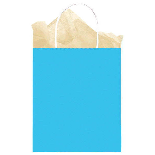 Turquoise Kraft Medium Gift Bag