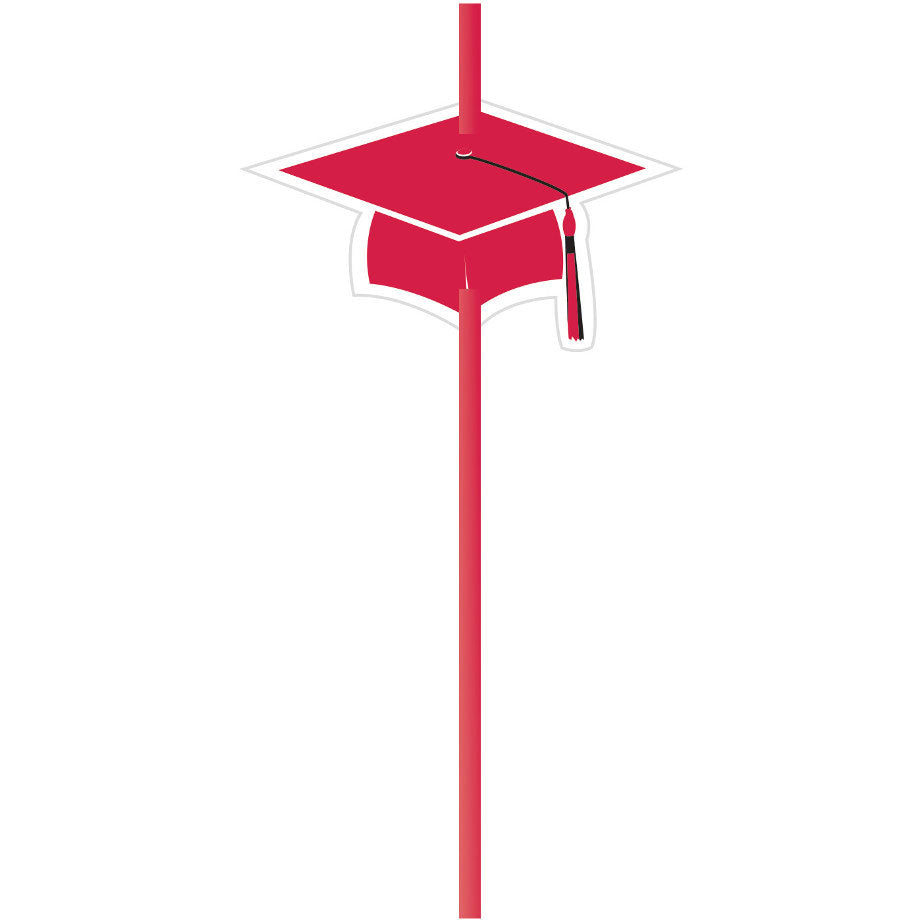 Straws w/ Attachments, Grad, Red