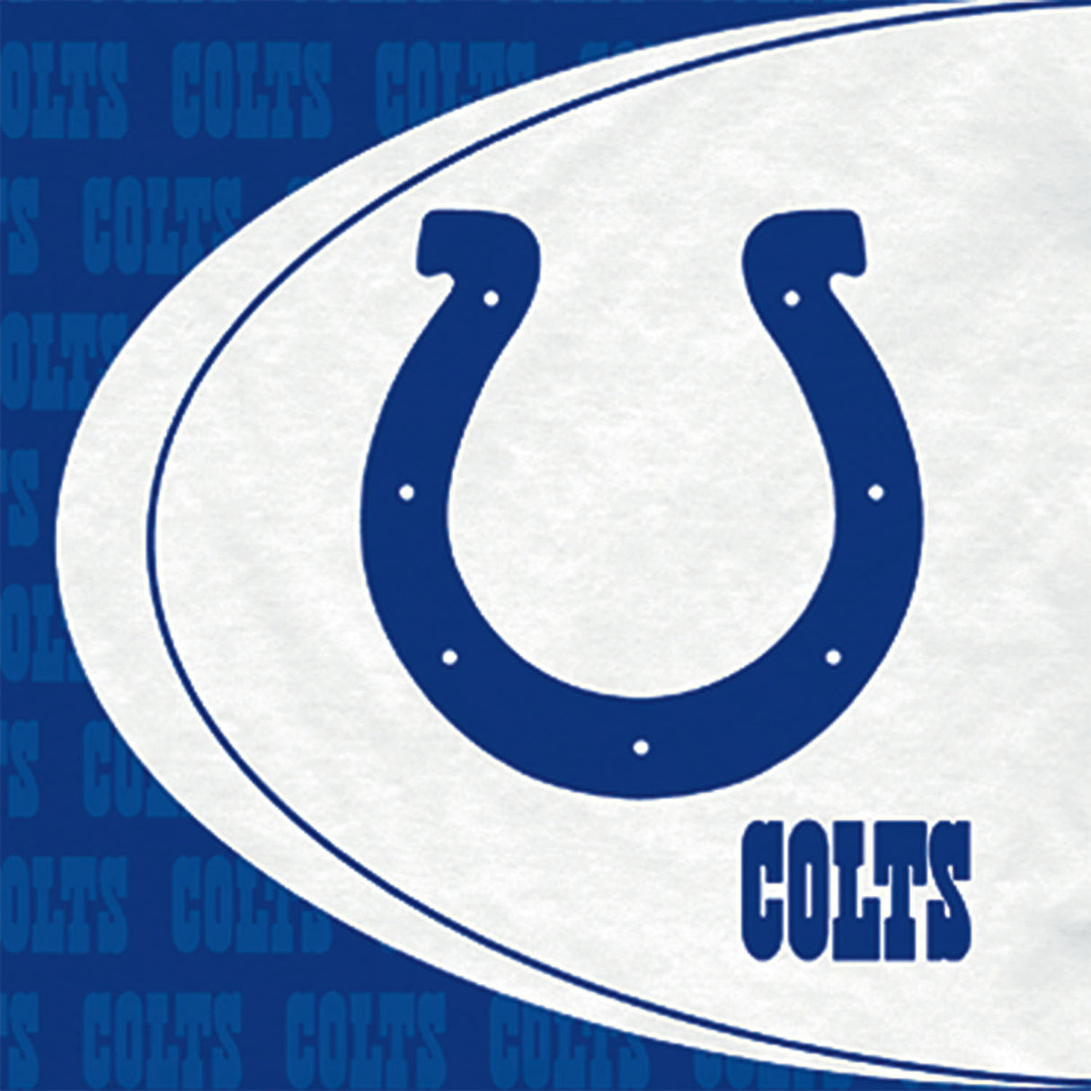 NFL Party Zone Luncheon Napkins