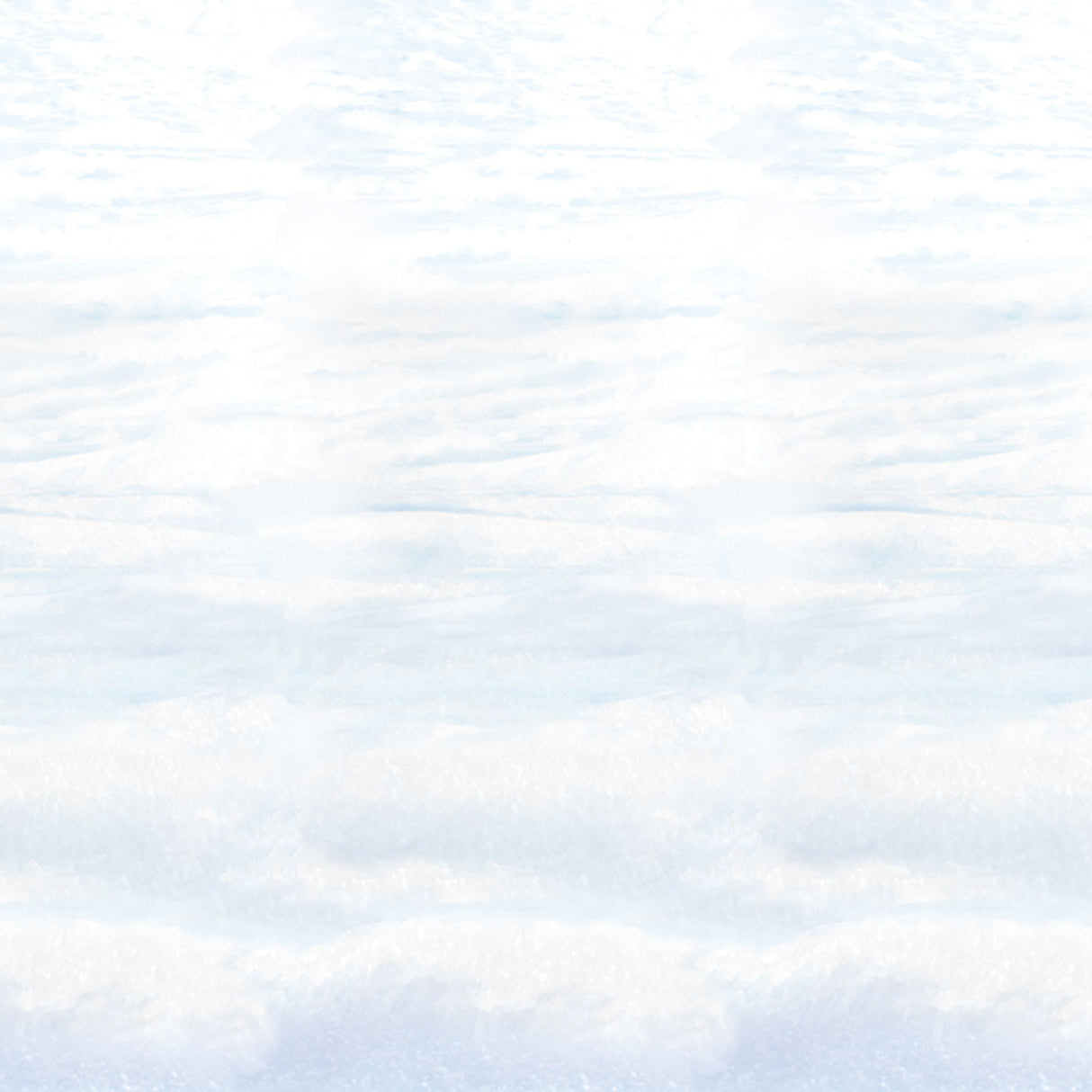 Snowscape Backdrop Room Roll
