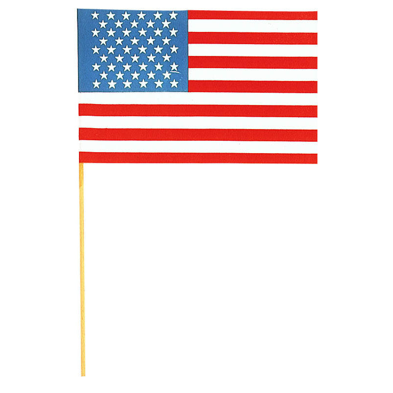 9" x 15" Cloth American Flag