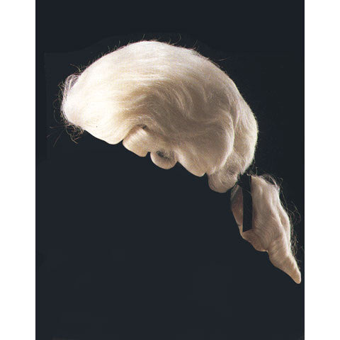 Male Court Wig-White
