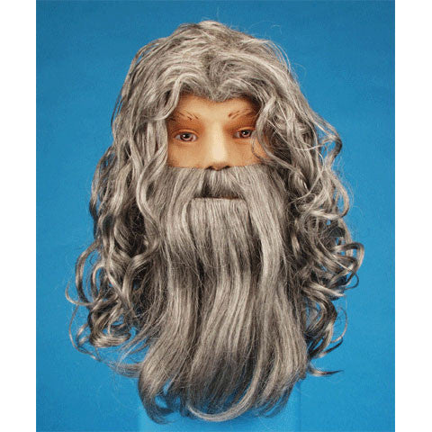 Wizard Wig & Beard Gray