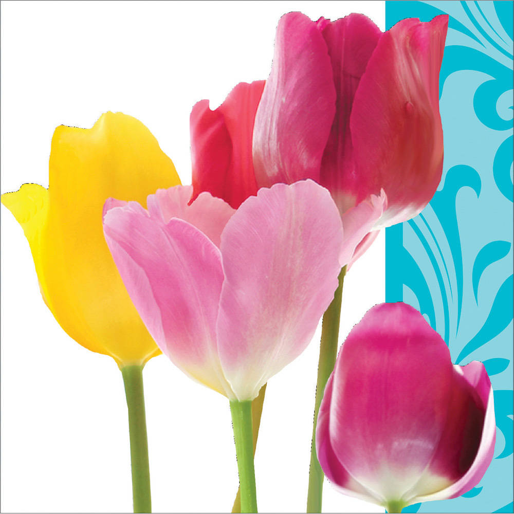 Springtime Beverage Napkins (16 ct)