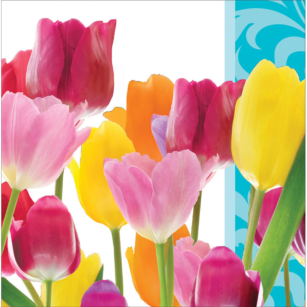 Springtime Luncheon Napkins (16 ct)