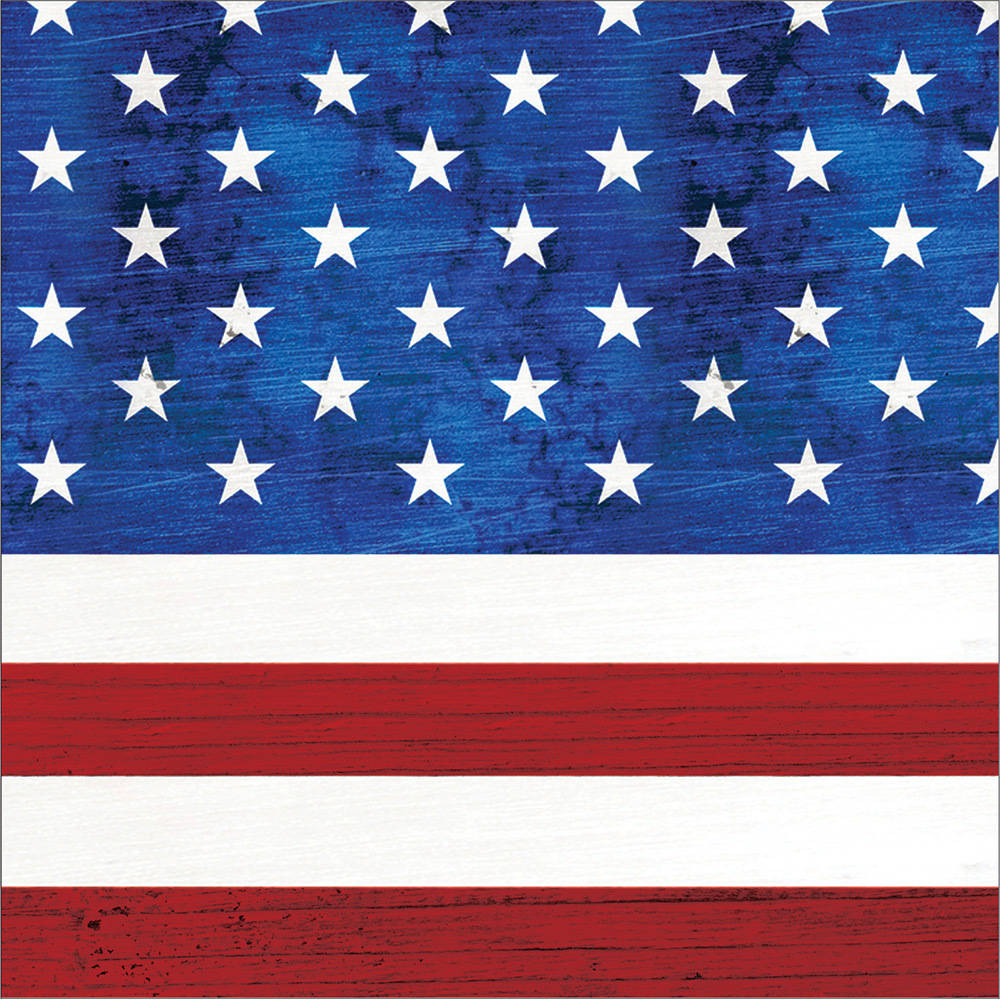 Patriotism Beverage Napkins (16 ct)