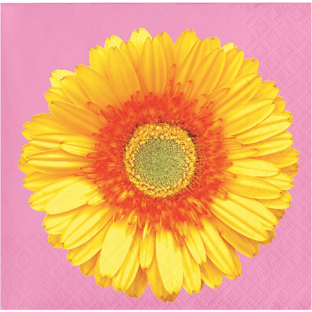 Petal Pop Beverage Napkins (16 ct)