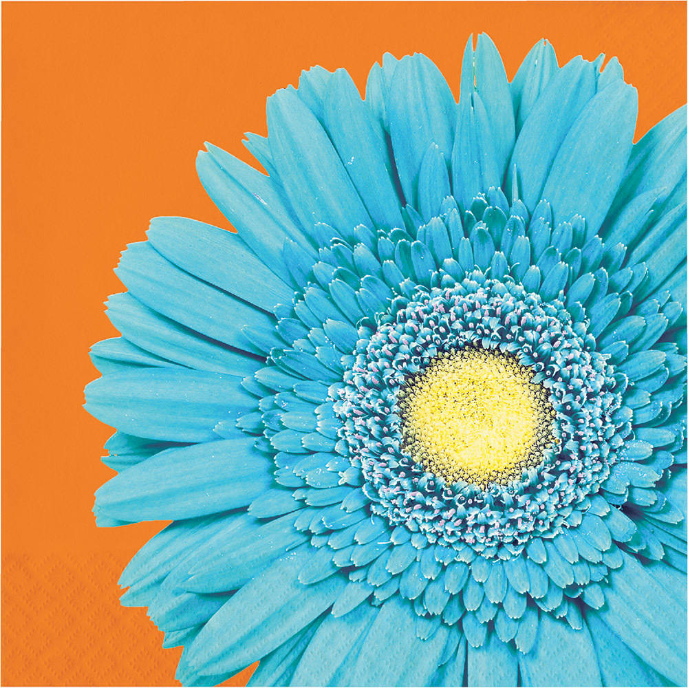 Petal Pop Luncheon Napkins (16 ct)