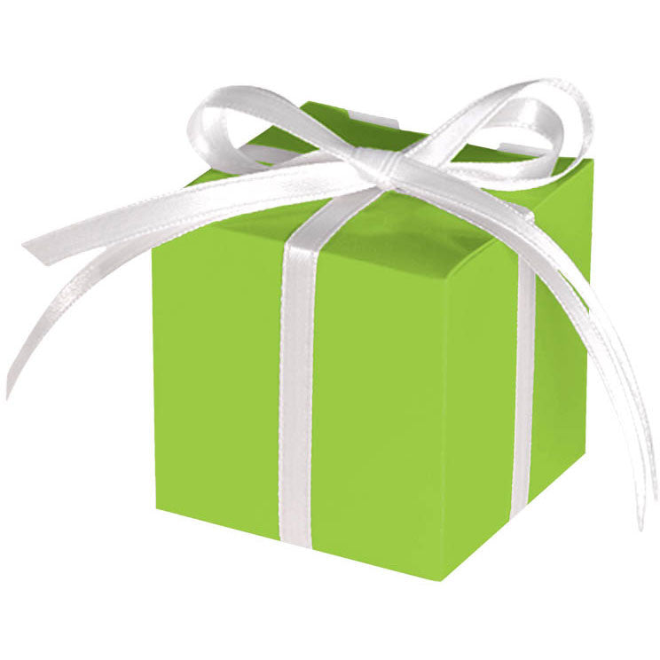 Kiwi Favor Boxes (12ct)
